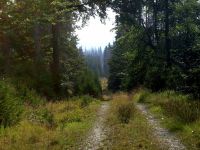 53 boehmerwaldruhe und boehmische weite am schuetzenpass
